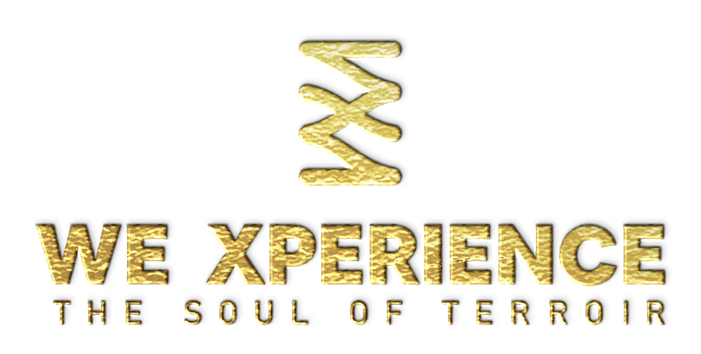 We Xperience
